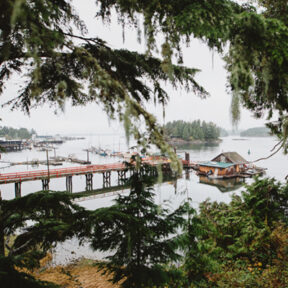 Open House for Yoga in Tofino, February 25- March 2, 2025