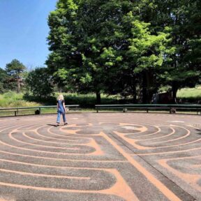 Field Trip: Qigong Walking in the High Park Labyrinth
